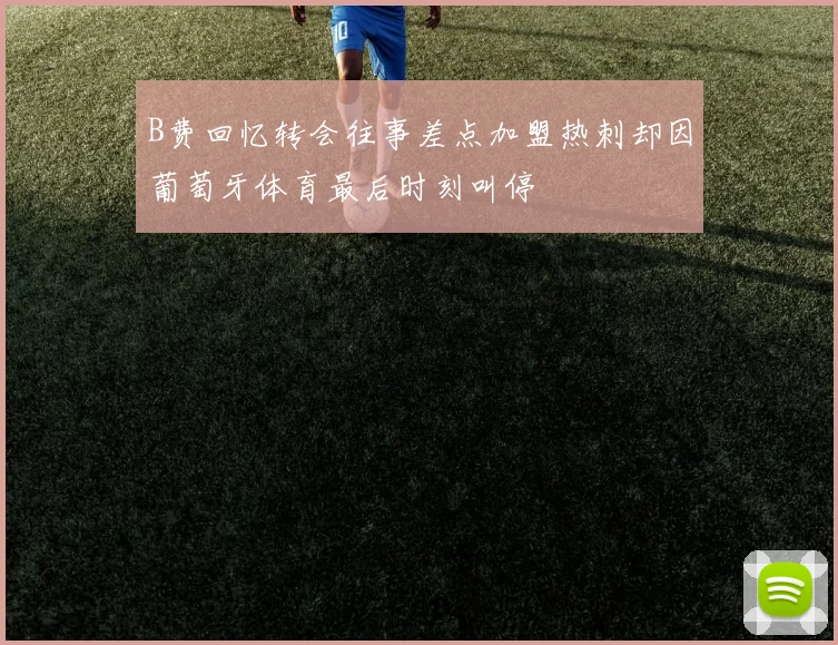 B费回忆转会往事差点加盟热刺却因葡萄牙体育最后时刻叫停