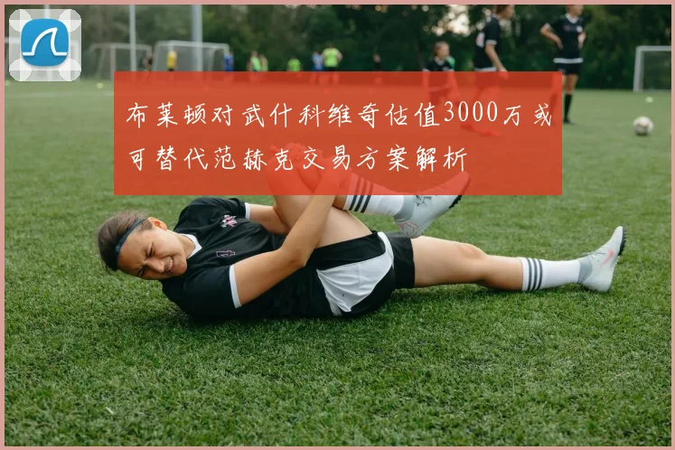 布莱顿对武什科维奇估值3000万或可替代范赫克交易方案解析