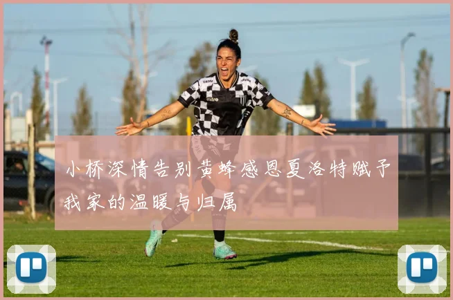 小桥深情告别黄蜂感恩夏洛特赋予我家的温暖与归属